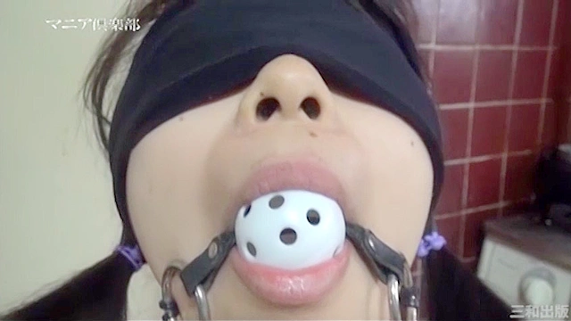 【動画】飼育01 ○禁調○編 PART4「マゾに改造された女学生・範子／○禁工場に誘拐されたOL・香織」