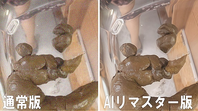 【AIリマスター版】素人ナンパトイレ号がゆく 外伝 東京熟女脱糞プレミア III ココでしか見られない！S級熟女達の初脱糞！！