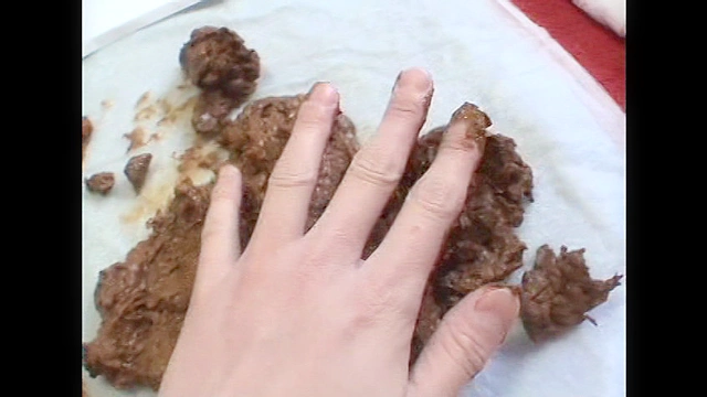 自画撮りうんこ日記 健康優良便BEST集2