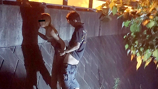 ガチ露出 変態交尾 素人変態女連れ回し露出調○