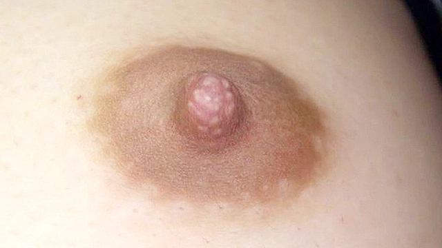 100人の乳首 第11集