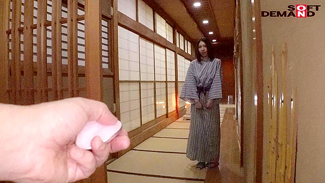 蒼井穂波 1泊2日恥じらい温泉旅行 いつバレるか知らないところでドキドキひやひや露出！